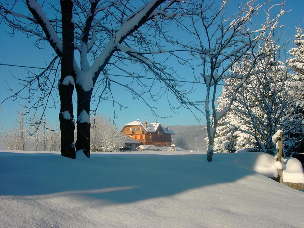 Hotel Da Barba B&B Азиаго Екстериор снимка